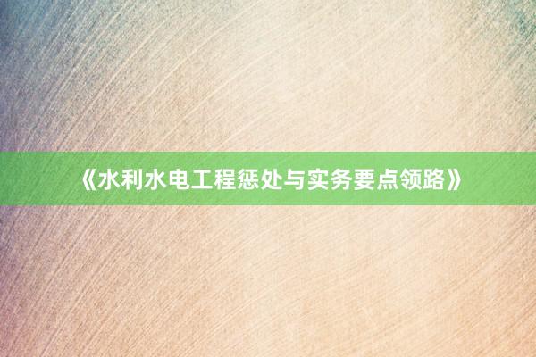 《水利水电工程惩处与实务要点领路》